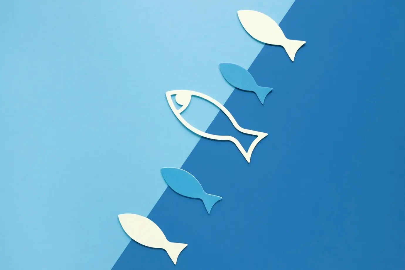 Vista cenital de peces de papel